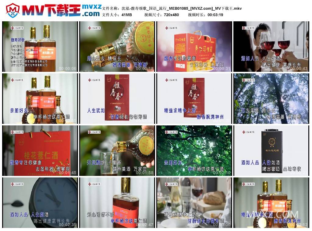沈泓-馥寿颂歌_国语_流行_MEB01085